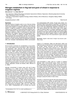 Nitrogen metabolism in flag leaf and grain of wheat in response to