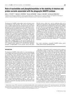 Role of nucleotides and phosphoinositides in the stability of electron