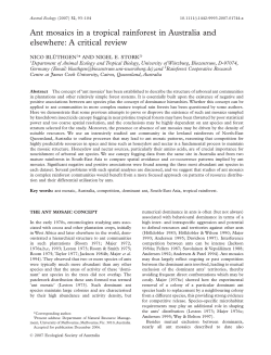 Ant mosaics in a tropical rainforest in Australia