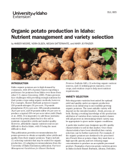 Organic potato production in Idaho - UI Extension Web