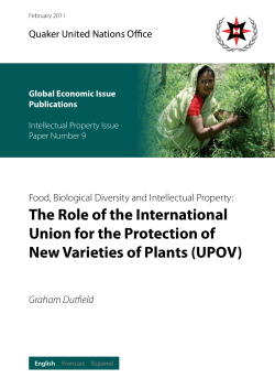 The Role of the International Union for the Protection of New