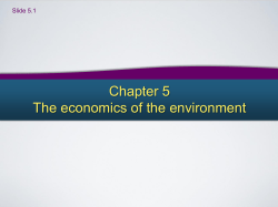 Is the government`s allocation of pollution permits