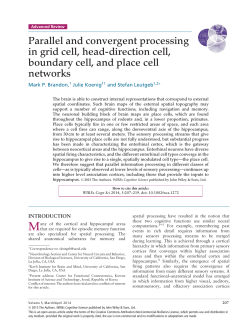Parallel and convergent processing in grid cell, headdirection cell