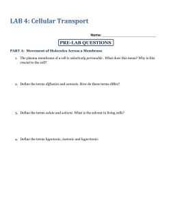 LAB 4: Cellular Transport