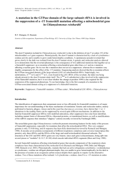 A mutation in the GTPase domain of the large subunit rRNA is