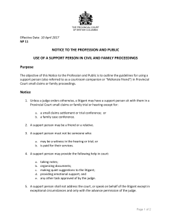 Use of a Support Person in Civil and Family Proceedings