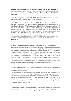 Biphasic modulation of NOS expression, protein and nitrite products