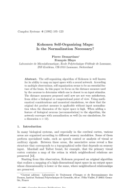 Kohonen Self-Organizing Maps: Is the