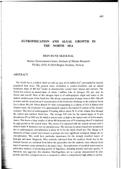 eutrophication and algal growth in the north sea