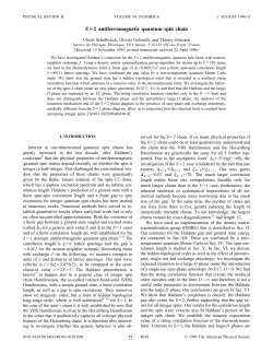 S 2 antiferromagnetic quantum spin chain
