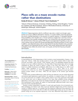 Place cells on a maze encode routes rather than destinations