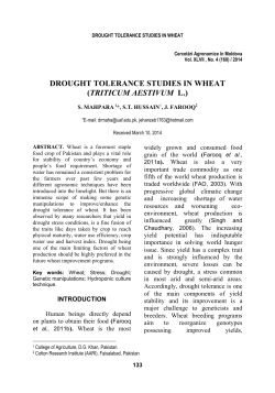 DROUGHT TOLERANCE STUDIES IN WHEAT (TRITICUM