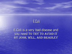 E. coli 1 - ECGCThursday
