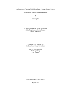 An Investment Planning Model for a Battery Energy Storage System