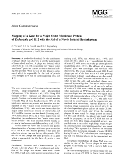 Mapping of a gene for a major outer membrane protein of