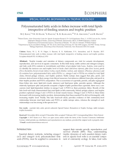 Polyunsaturated fatty acids in fishes increase with total lipids