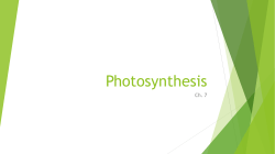Photosynthesis