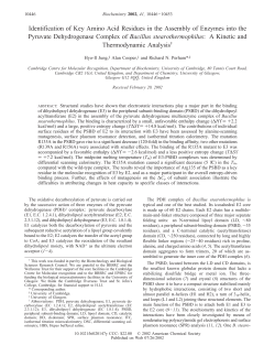 Identification of Key Amino Acid Residues in the Assembly of