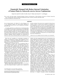 Organically Managed Soils Reduce Internal Colonization of Tomato