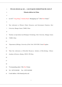 Devosia nitraria sp. nov.，a novel species isolated from the roots of