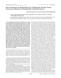 Pore Formation by Equinatoxin II, a Eukaryotic Protein Toxin, Occurs