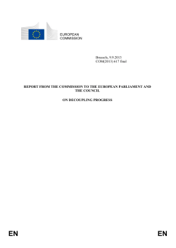 EN EN REPORT FROM THE COMMISSION TO THE EUROPEAN