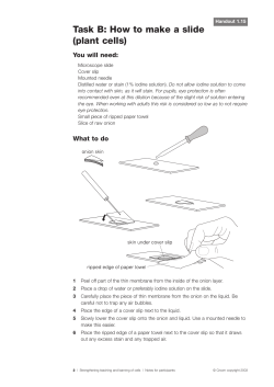 Task B: How to make a slide (plant cells)