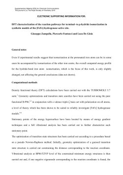 DFT characterization of the reaction pathways for terminal