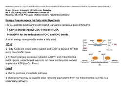 Energy Requirements for Fatty Acid Synthesis For C16 palmitic acid