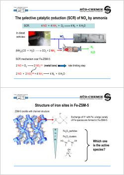 The selective catalytic reduction (SCR) of NO by ammonia Structure