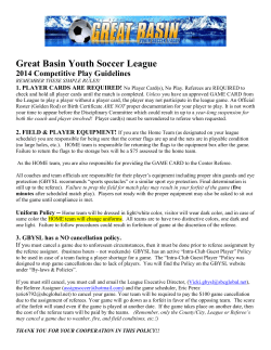 Great Basin Youth Soccer League 2014 Competitive Play