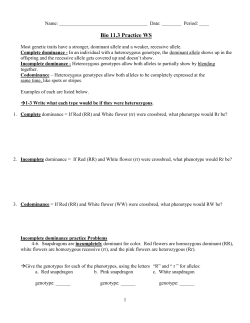 Codominance Worksheet