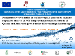 Nondestructive evaluation of leaf chlorophyll content by