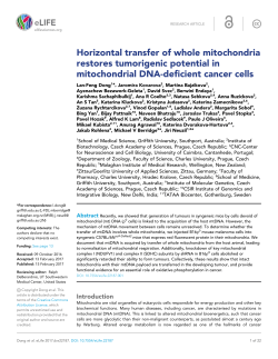 Horizontal transfer of whole mitochondria restores tumorigenic