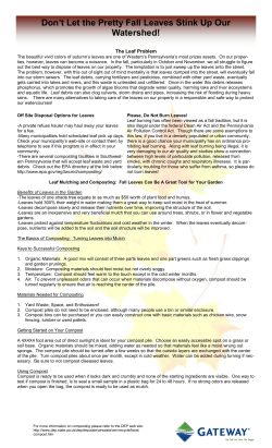 Don`t Let the Pretty Fall Leaves Stink Up Our