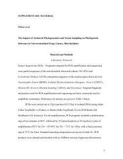 Supporting Informatoion