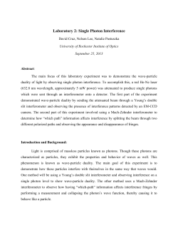 Single Photon Interference OPT 253_Cruz