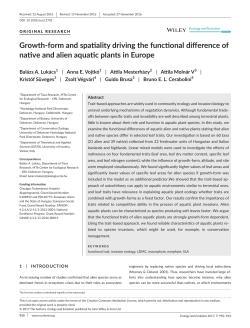 form and spatiality driving the functional difference of native and