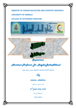 MINISTRY OF HIGHER EDUCATION AND SCIENTIFIC RESEARCH