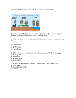 Assessment: The Carbon Cycle: Lab 2 Answers are underlined