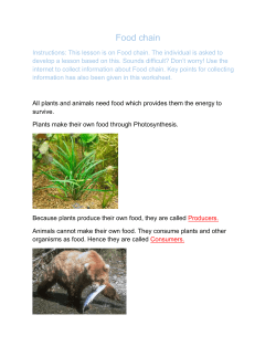 LP BandCD Science 28 Food Chain