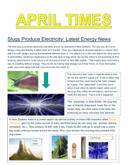 The new way to produce electricity has been proven by scientists in