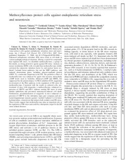 Methoxyflavones protect cells against endoplasmic reticulum stress