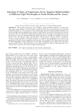 Attraction of Alates of Cryptotermes brevis