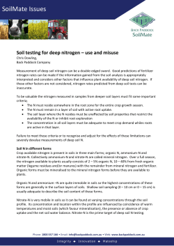 Soil testing for deep nitrogen