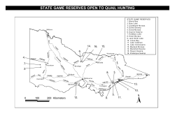 Stubble Quail Hunting on State Game Reserves