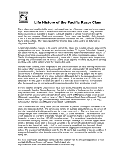 Life History of the Pacific Razor Clam