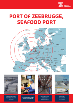 PORT OF ZEEBRUGGE, SEAFOOD PORT