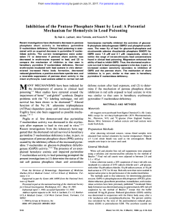 Inhibition of the Pentose Phosphate Shunt by Lead