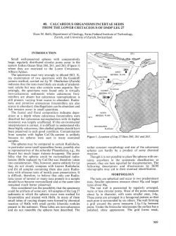40. Calcareous Organisms Incertae Sedis from the Lower